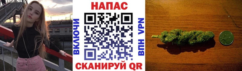 Где купить Высоковск Каннабис  Гашиш 