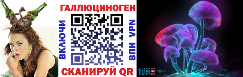 Псилоцибиновые грибы мицелий Высоковск